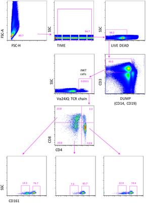 iNKT Cells in Secondary Progressive Multiple Sclerosis Patients Display Pro-inflammatory Profiles